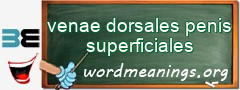 WordMeaning blackboard for venae dorsales penis superficiales